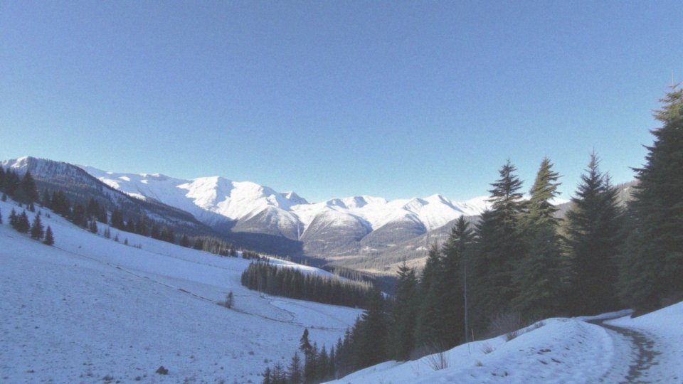 Dlaczego Tatry to popularny wybór na ferie zimowe?