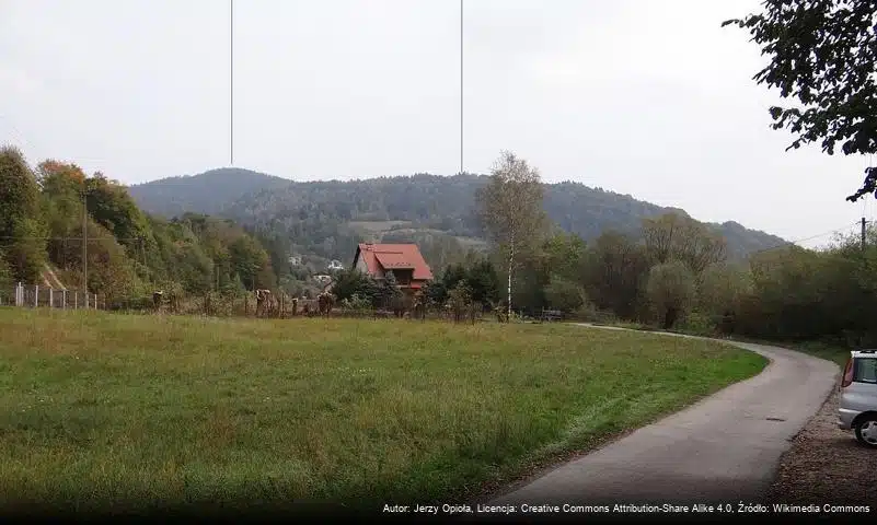 Lipska Góra
